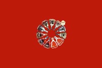 会泽县回收红酒